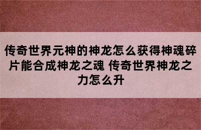 传奇世界元神的神龙怎么获得神魂碎片能合成神龙之魂 传奇世界神龙之力怎么升